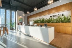 Spaces Max Towers – Noida Sector 16B