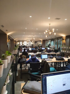 SpringHouse – JMD Regent Arcade – MG Road