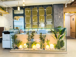 Ofis Square – MG Road Annexe